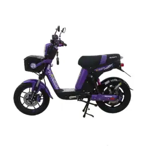 BICIPOWER CLASSIC TOPMAQ/BUCATTI LITHIUM 48V45AH MORADA miniatura 2